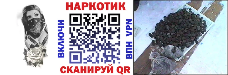 Магазин наркотиков Дмитровск ГАШ ОМГ ОМГ ONION АМФ Меф Псилоцибиновые грибы КОКАИН Марихуана