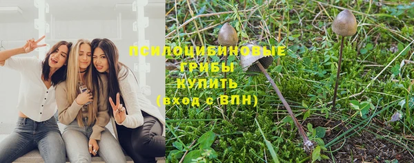 гидра Гусь-Хрустальный