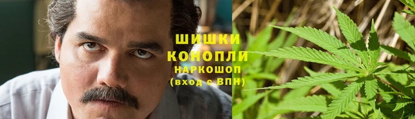 spice Гусев
