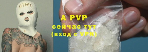 гидра Гусь-Хрустальный