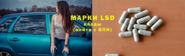 spice Гусев
