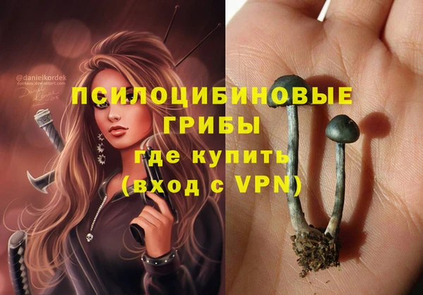 крисы Гусиноозёрск