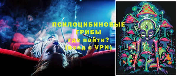 крисы Гусиноозёрск