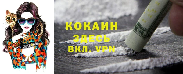 mdpv Дмитров