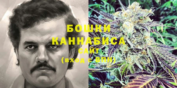 крисы Гусиноозёрск