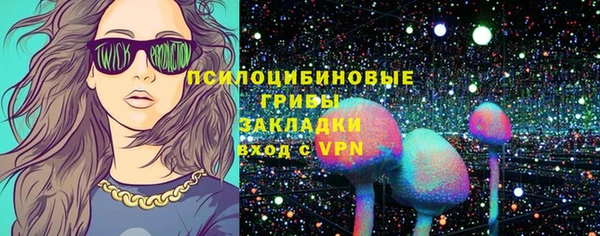 крисы Гусиноозёрск